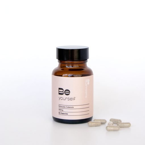 mushroom capsules, buy magic mushroom capsules, psychedelic mushrooms capsules, shrooms capsules, buy shrooms capsules online, magic shrooms capsules, mushrooms capsules