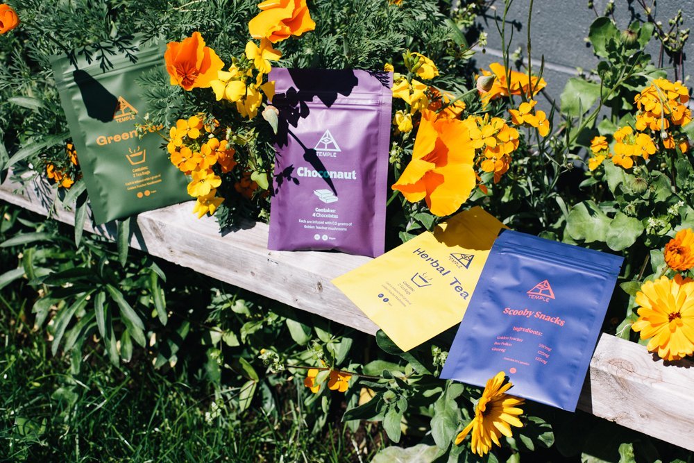 Temple Teleport Sample Pack (20 Pieces of Magic Mushroom Tea + Chocolate ChocoNaut + Scooby Snacks) - Image 4