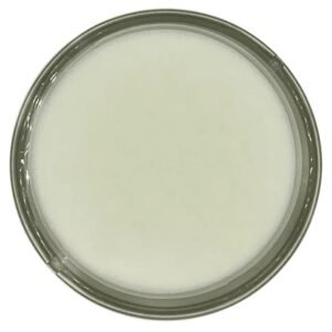 Extract Labs CBD Muscle Cream Uk