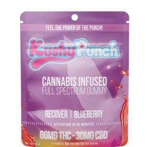 KushyPunch Recover-Blueberry Gummy UK